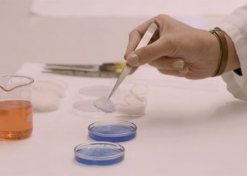 فريق بحثي إسباني يدرس تأثير مادة «إيروجيل» في مد العمر الافتراضي للحوم والأسماك