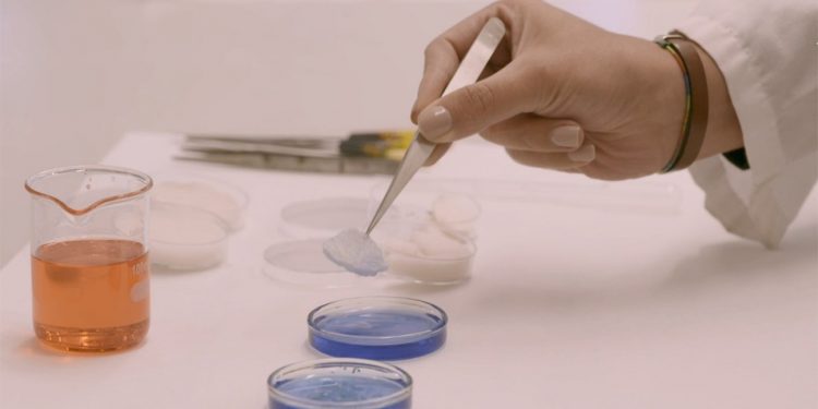 فريق بحثي إسباني يدرس تأثير مادة «إيروجيل» في مد العمر الافتراضي للحوم والأسماك