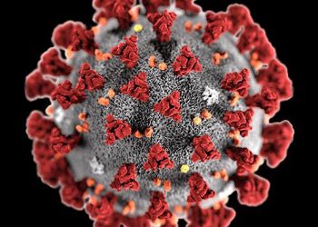 أحدث متحورات كورونا.. كل ما تريد معرفته عن متغير "مو" و "C.1.2"