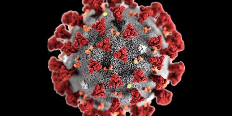 أحدث متحورات كورونا.. كل ما تريد معرفته عن متغير "مو" و "C.1.2"