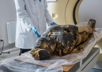 بالتفاصيل.. ما قصة الجدل حول "أول مومياء مصرية حامل"؟