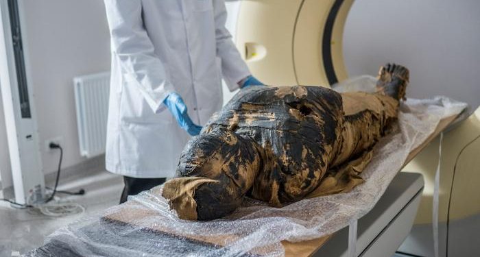 بالتفاصيل.. ما قصة الجدل حول "أول مومياء مصرية حامل"؟