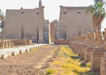 كل ما تريد معرفته عن مشروع تطوير طريق الكباش الفرعوني