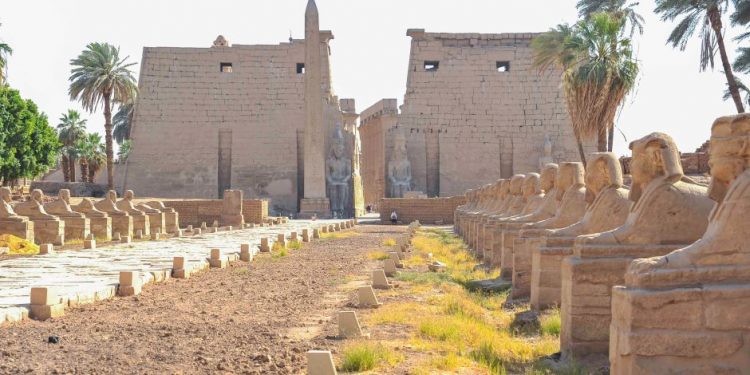كل ما تريد معرفته عن مشروع تطوير طريق الكباش الفرعوني