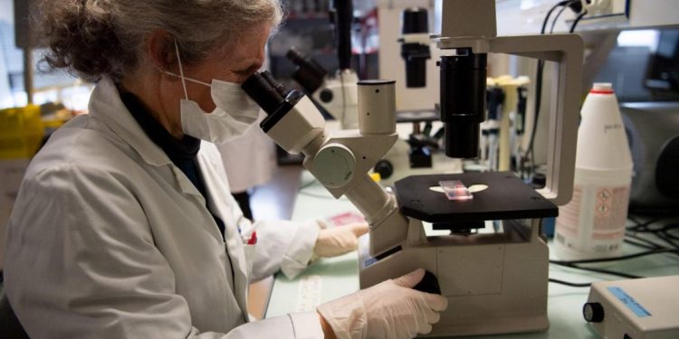 تصل إلى 200 ألف يوان صيني.. منح لشباب الباحثين