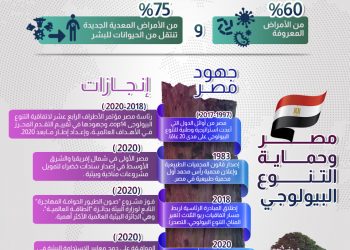 في اليوم العالمي للتنوع البيولوجي.. مجلس الوزراء يستعرض جهود مصر البيئية