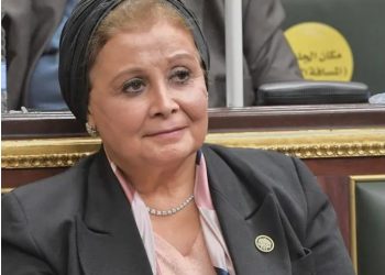 عبلة الألفي: تطالب بالتنسيق بين التعليم العالي والصحة حول الأعداد المطلوبة بكلية الصيدلة