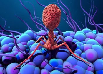 هل من الممكن أن تكون الفيروسات مفيدة للإنسان؟