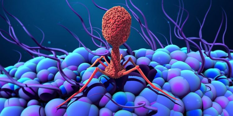 هل من الممكن أن تكون الفيروسات مفيدة للإنسان؟