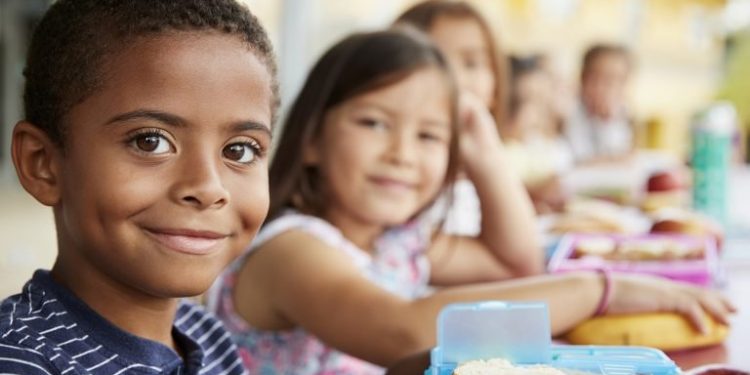 للطلاب الوافدين.. شروط التقديم إلكترونيًا لرياض الأطفال والأول الابتدائي