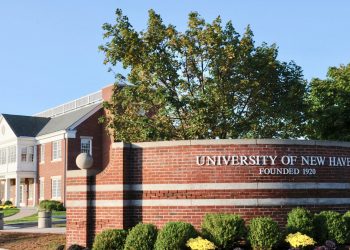 جامعة نيو هافن الأمريكية تقدم منحة لطلاب البكالوريوس