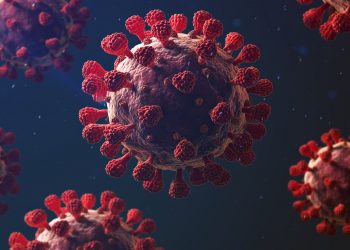 تحذيرات من احتمالية هيمنة سلالة كورونا الهندية عالميًا