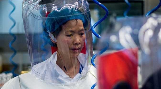 العالمة الصينية المتهمة بتصدير كورونا: لست نادمة ولم أرتكب خطأ