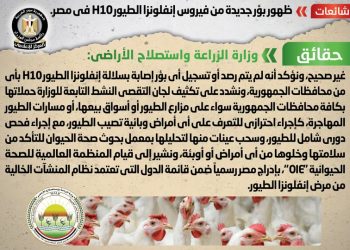 الحكومة توضح حقيقة ظهور بؤر جديدة من إنفلونزا الطيور H10 في مصر
