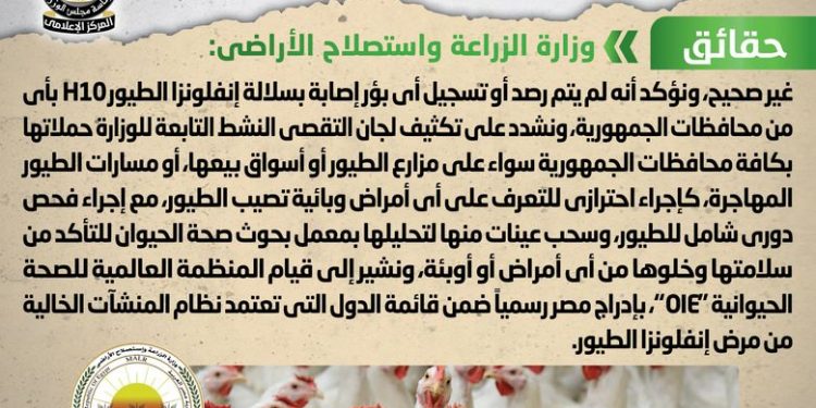 الحكومة توضح حقيقة ظهور بؤر جديدة من إنفلونزا الطيور H10 في مصر