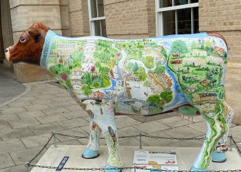 لتعريف الأطفال بتاريخ مدينتهم.. منحوتات فنية للأبقار تنتشر في أنحاء كامبريدج