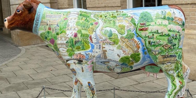 لتعريف الأطفال بتاريخ مدينتهم.. منحوتات فنية للأبقار تنتشر في أنحاء كامبريدج