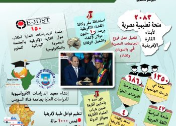 دعم رئاسي للتعاون المصري الإفريقي في مجال التعليم العالي