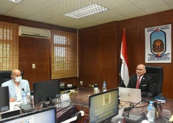 مجلس جامعة الأقصر يقرر صرف 500 جنيه للعاملين وفتح باب التقدم للدراسات العليا