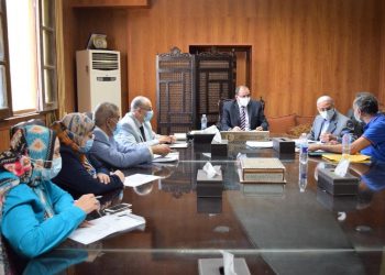 جامعة بني سويف تبحث إنشاء وحدة للتدقيق اللغوي