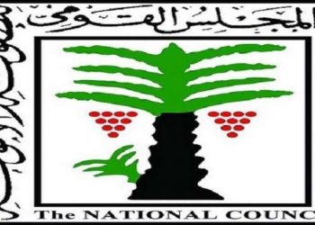 إرشادات لأساليب التربية الإيجابية.. القومي للطفولة يطلق تطبيق "نبتة مصر"