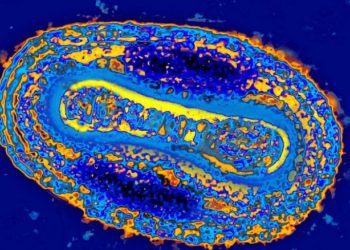 بريطانيا تكشف عن حالات إصابة جديدة بفيروس نادر