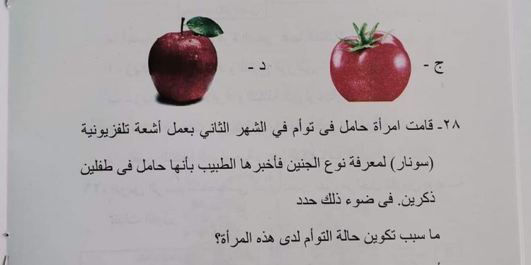 علي غرار سؤال امتحان الأحياء المثير للجدل.. تعرف على الفروق بين الثمار الكاذبة والحقيقية