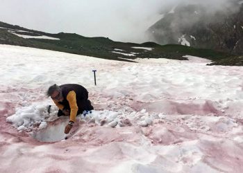 بسبب ظاهرة "الجليد الأحمر".. العلماء يحذرون من العواقب طويلة المدى