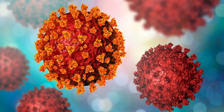 دراسة علمية جديدة: القضاء على فيروس كورونا ليس مستحيلا