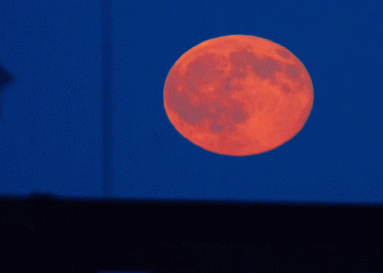 آخر قمر عملاق لهذا العام.. "قمر الفراولة" يزين سماء ليلة الخميس