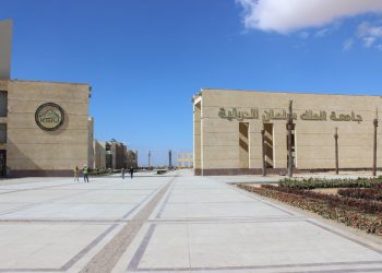 “التعليم العالي”: ٥٦ برنامجًا أكاديميًا في ١٧ مجالاً بجامعة الملك سلمان