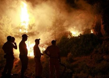 مصر تعزي أسر ضحايا حرائق الغابات في تركيا