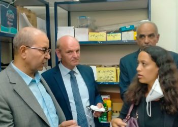 الوكالة الألمانية للتعاون الدولى "GIZ" تبحث تحسين جودة التعليم الفنى ببورسعيد