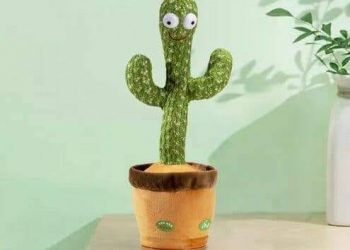 أستاذ صحة نفسية: الصبارة الراقصة خطر على الأطفال نفسياً وعقلياً 