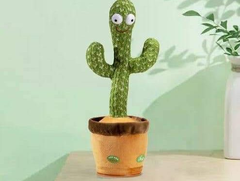 أستاذ صحة نفسية: الصبارة الراقصة خطر على الأطفال نفسياً وعقلياً