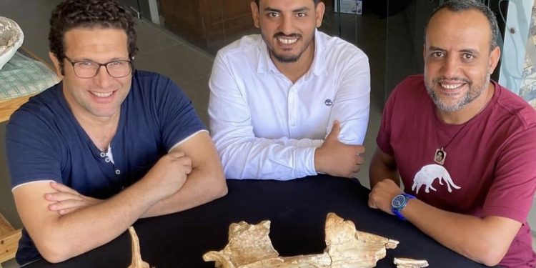 بالتعاون بين وزارتى التعليم العالى والبيئة: اكتشاف حوت برمائي عاش في مصر قبل 43 مليون عام