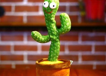 أستاذ صحة نفسية: الصبارة الراقصة خطر على الأطفال نفسياً وعقلياً 