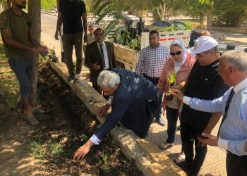 بالصور رئيس جامعة الأزهر يشارك في حب مصر ويقوم بزراعة أشجار الزينة