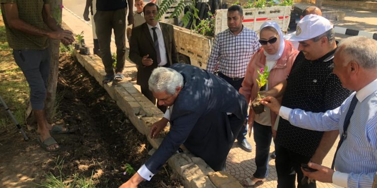 بالصور رئيس جامعة الأزهر يشارك في حب مصر ويقوم بزراعة أشجار الزينة