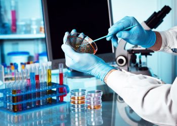 تنسيق الجامعات 2021.. خريطة الالتحاق بكليات وأقسام التكنولوجيا الحيوية في مصر