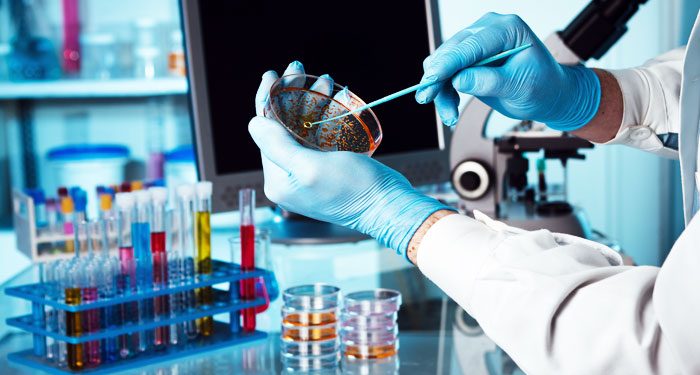 تنسيق الجامعات 2021.. خريطة الالتحاق بكليات وأقسام التكنولوجيا الحيوية في مصر