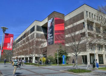 منح الجامعات 2021.. جامعة ستوني بروك تقدم فرصة دراسية لطلاب البكالوريوس