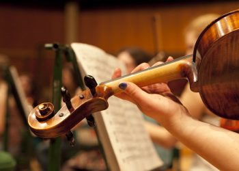 تنسيق 2021.. قواعد اختبارات القدرات لكليات التربية الموسيقية