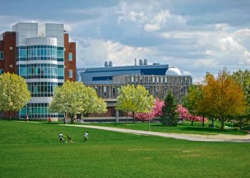 منح الجامعات 2021.. جامعة برانديز الأمريكية تكشف تفاصيل برنامج Wien لطلاب البكالوريوس