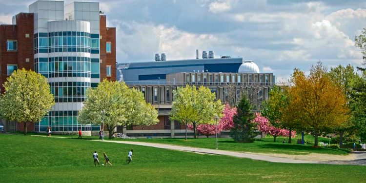 منح الجامعات 2021.. جامعة برانديز الأمريكية تكشف تفاصيل برنامج Wien لطلاب البكالوريوس