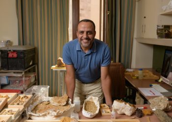 هشام سلام أستاذ علم الحفريات الفقارية يكشف عن اكتشافات هامة في الفترة المقبلة