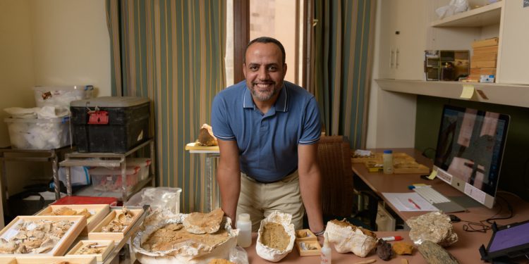هشام سلام أستاذ علم الحفريات الفقارية يكشف عن اكتشافات هامة في الفترة المقبلة