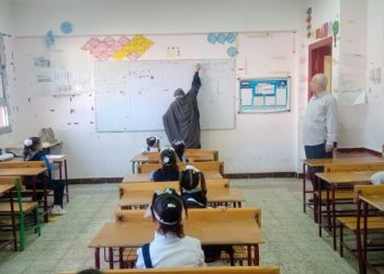 شوقي يلتقى خبراء التربية للاستفادة من خبراتهم في تطوير التعليم