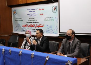 اقتصاد وسياسة القاهرة