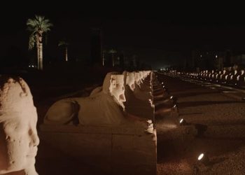 يعكس وجه مصر الحضاري.. الهجرة تدعو المصريين بالخارج للترويج لافتتاح طريق الكباش